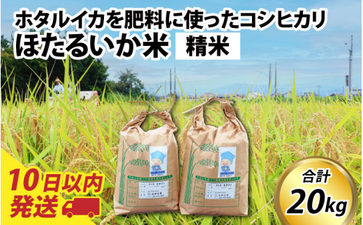 【訳あり】ほたるいか米（精米20kg）【通年発送】