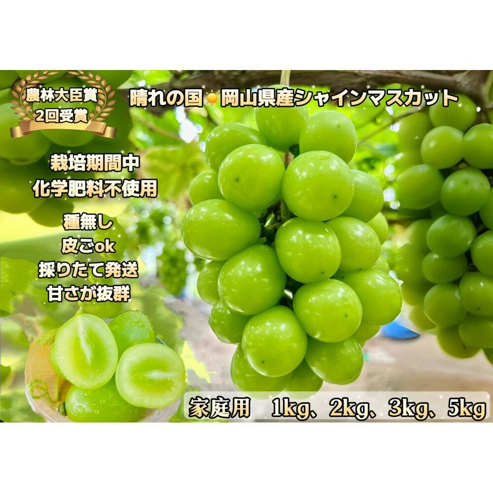 【ふるさと納税】【岡山市】ぶどう 2026年 家庭用 シャインマスカット 約1kg～5kg 選べる内容量 | フルーツ 果物 くだもの シャインマスカット マスカット 訳あり 岡山県産 岡山 2026年7月中旬から発送