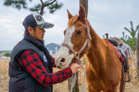 潮風感じる 乗馬体験 チケット(最大4名) 西日本トップクラスの爽快体験！【T8】