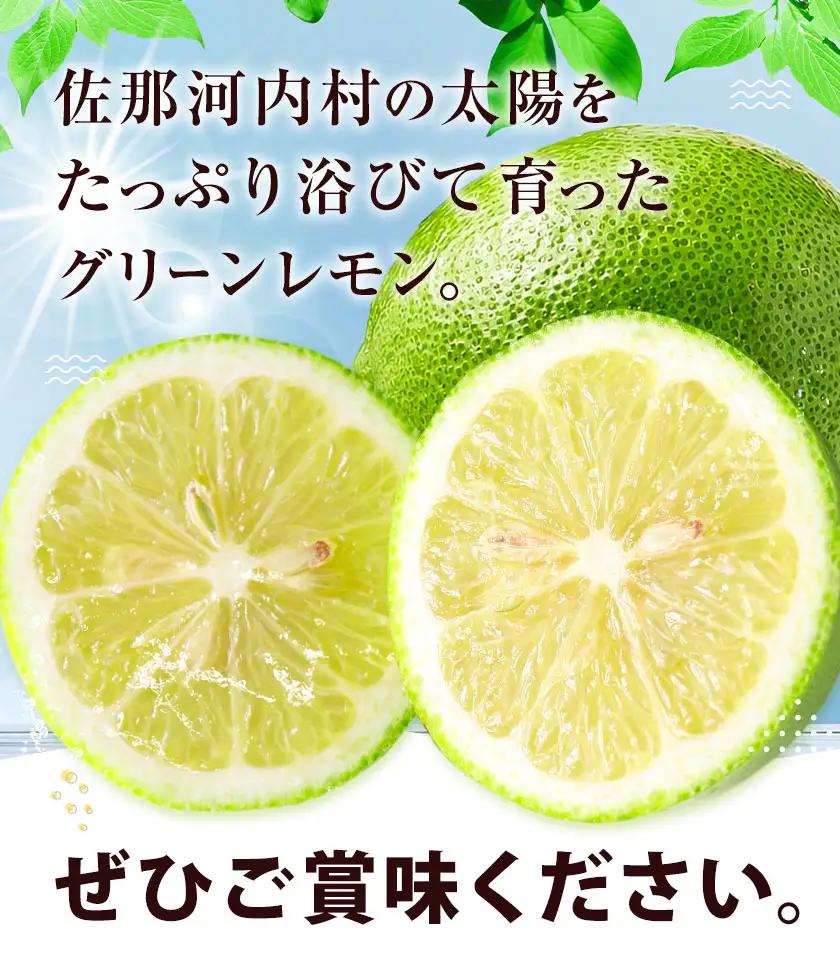 訳あり グリーンレモン 山本農園 3kg