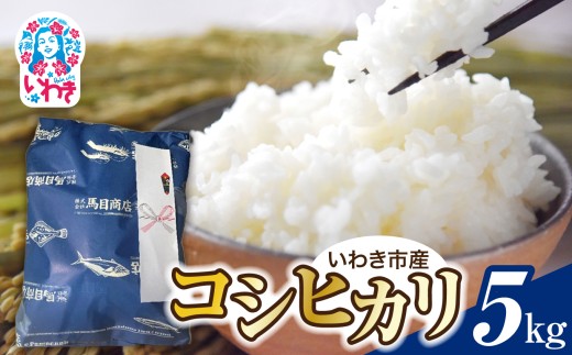 【令和8年産】いわき市産 コシヒカリ 5kg | いわき市産 コシヒカリ 新米 令和8年度産 令和8年産 白米 単一原料米 粒揃い 甘み もちもち ふっくら つややか ごはん ギフト 5kg | BF043-5kg-r8