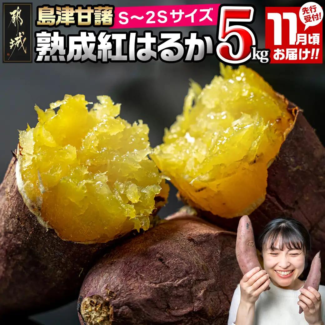 先行受付!【11月お届け】島津甘藷　熟成紅はるか 5kg(S～2S)〔LE-A7-001-5kg-m-11〕_(都城市)島津甘藷 紅はるか サツマイモ 未選別 5kg S～2S