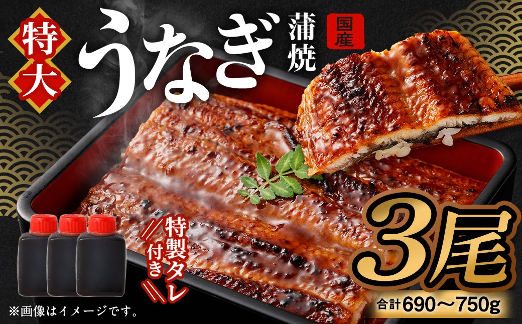 
            【選べる配送月】国産うなぎ蒲焼 3尾（690〜750g）と特製タレ3個セット ｜ 鰻 ウナギ 蒲焼 うなぎ蒲焼 タレ付 大阪府 阪南市
          