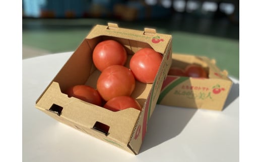 太陽の恵みを受けて育った あしかが美人トマト 1kg箱 × 2箱 F7Z-251