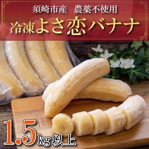 バナナ 1.5kg 以上 冷凍 有機栽培 無農薬 国産 高知 初  高知県 須崎市