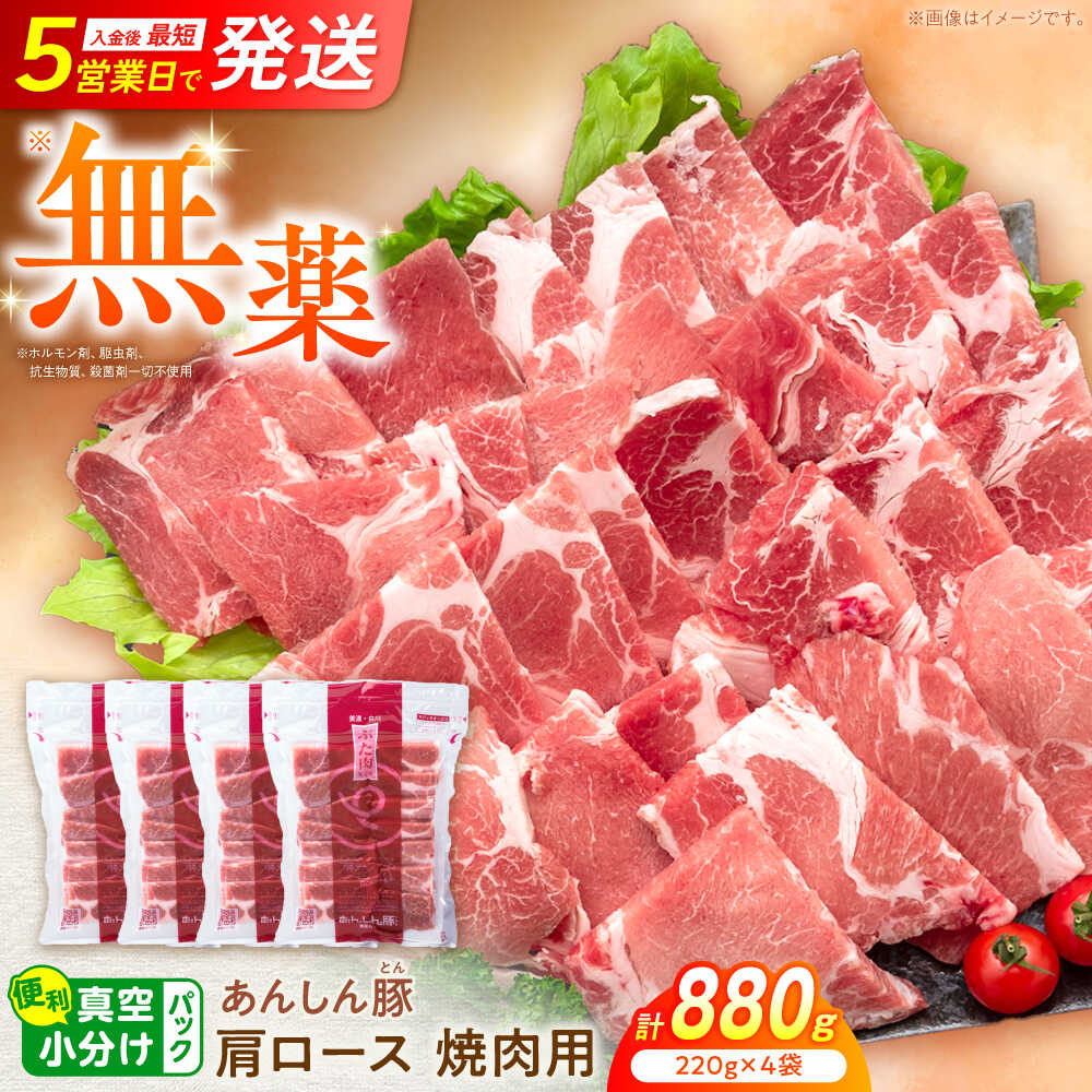 【ふるさと納税】無薬育ちのあんしん豚 豚肉 肩ロース 焼肉用 880g （220g × 4袋） / 豚肉 小分け 冷凍 焼肉 カタロース 白川町 / 藤井ファーム[AWAF062]