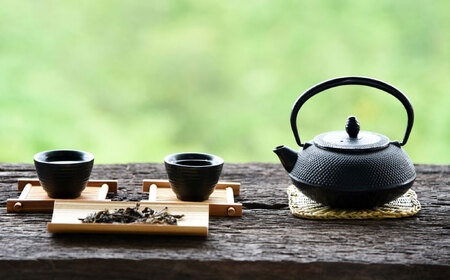 八女茶　煎茶セット　100g×2袋 ＜木村食品＞ 那珂川市[GFW061]