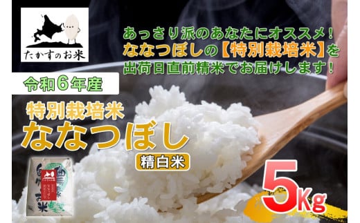 【 令和7年産 】 ななつぼし （ 精白米 ） 北海道 米 定番の品種 5kg 北海道 鷹栖町 たかすのお米 コメ こめ ご飯