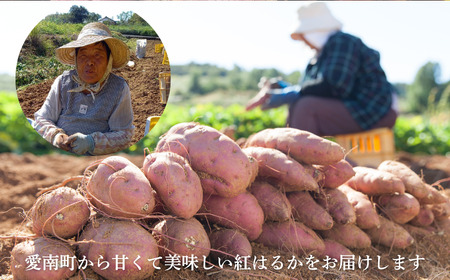訳あり 熟成 紅はるか 10kg サイズミックス さつまいも 愛なんよ