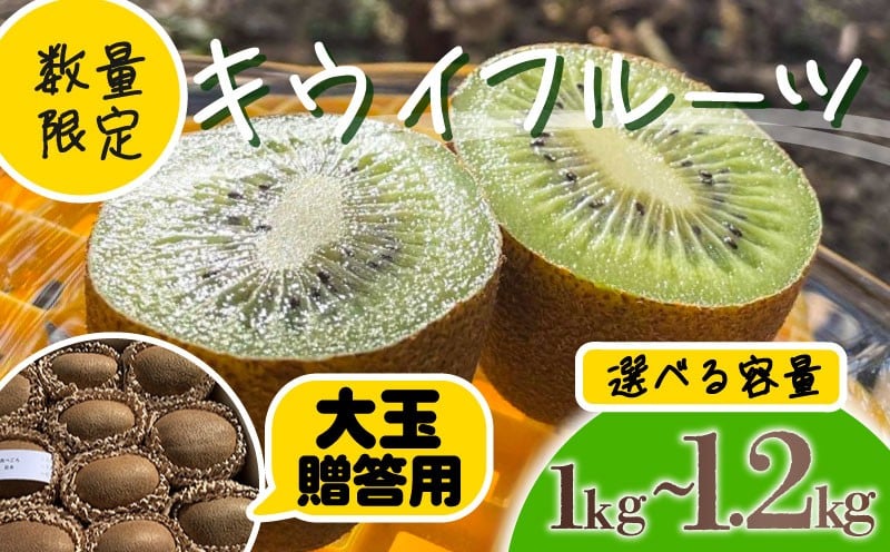 
            【先行予約】【12月上旬~順次発送】キウイ フルーツ 無農薬 グリーンキウイ 腸活 健康 甘い 手でむける キウイフルーツ みつばちキウイ 大玉 1~1.2kg 贈答品 贈答用 贈り物 栽培期間中農薬・化学肥料不使用 デザート 果物 くだもの 国産 愛知県 南知多町 【配送不可地域：北海道 青森 秋田 岩手 沖縄 離島】
          