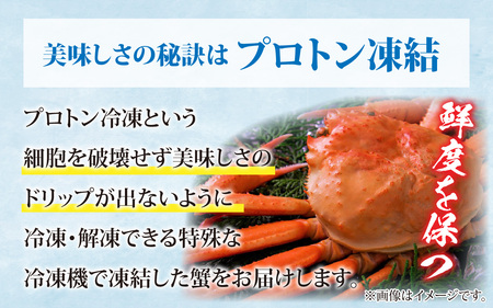 【先行予約】【12月発送】【数量・期間限定】福井県産 越前 紅ズワイガニ ×1杯【急速冷凍】(プロトン凍結)