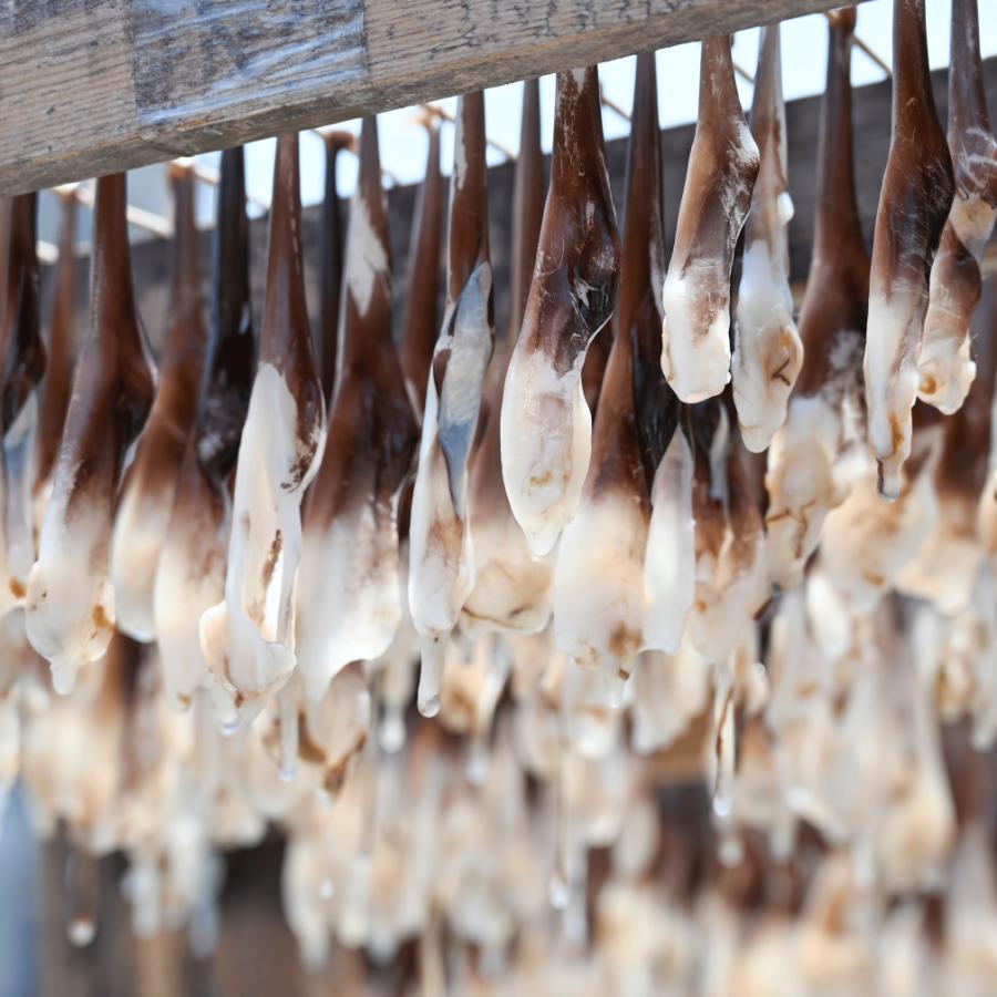 ＜岬水産＞【伊勢神宮外宮品】天然「とり貝」干物2種セット（串干し・平干し）