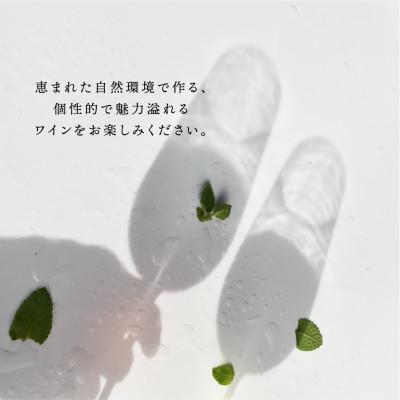 ふるさと納税 山梨市 山梨市産推奨ワイン　3本セット |  | 01