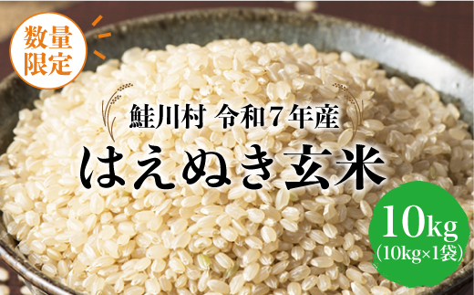◇数量限定品◇ 令和8年8月中旬発送 ＜令和7年産＞ はえぬき 【玄米】 10kg （10kg×1袋）鮭川村
