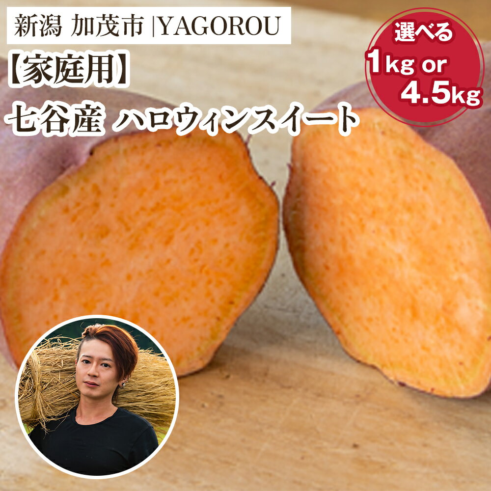 【ふるさと納税】【2025年先行予約】【家庭用】ハロウィンスイート （A品・B品混在）選べる 「1kg」 or 「4.5kg」 新潟県加茂市七谷産 さつまいも《10月下旬〜順次発送》 サツマイモ お芋 焼き芋 スイートポテト 野菜 根菜 低温熟成 加茂市 YAGOROU ヤゴロウ
