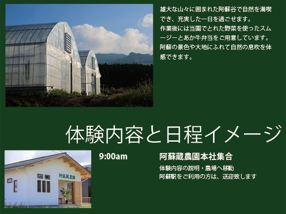 阿蘇蔵農園 阿蘇のカルデラで農業体験＆お散歩 野菜スムージー・お弁当あり