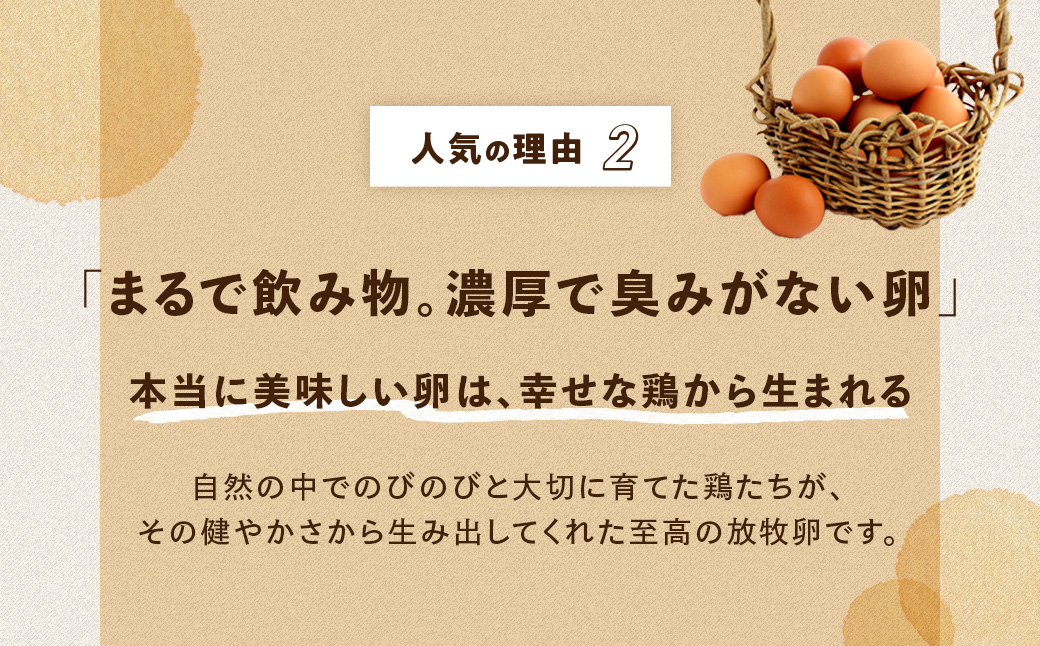 黒富士農場人気NO.1セット