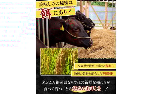 博多和牛パラパラ牛ミンチ800g 400gｘ2 MK003