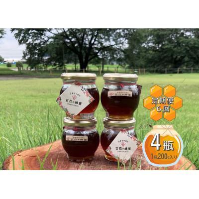 ふるさと納税 下野市 【毎月定期便】日本ミツバチの百花蜂蜜(200g×4瓶)国産100%天然生蜂蜜です。全6回