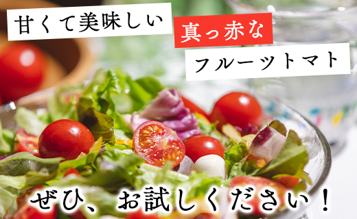 【2025年12月以降順次配送分】高糖度＆高機能性 フルーツトマト3kg kr-0069 約3kg（1kg×3箱）