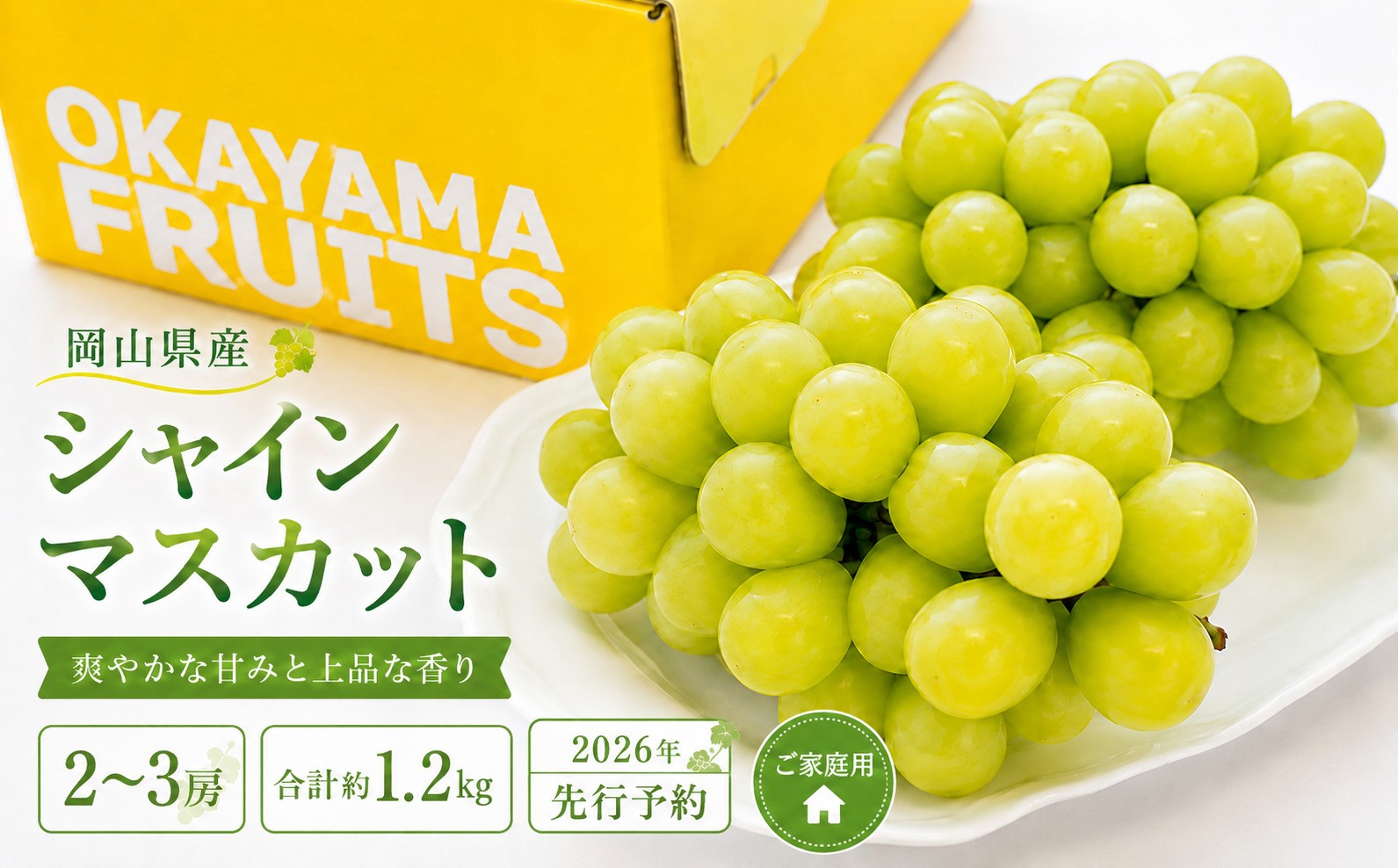 
                  ぶどう 2026年 先行予約 ご家庭用 シャイン マスカット 2～3房 合計約1.2kg ブドウ 葡萄  岡山県産 国産 フルーツ 果物 ギフト シャインマスカット 家庭用 自分用
                