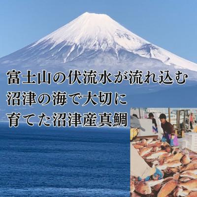 ふるさと納税 沼津市 沼津産真鯛　お刺身(皮引き柵)約130g×20袋 |  | 03