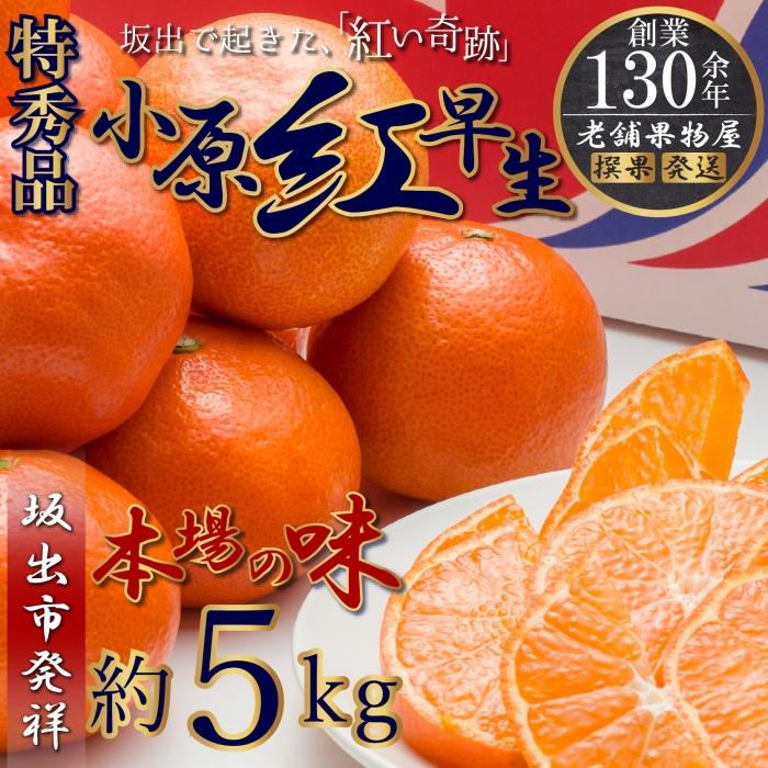 【ふるさと納税】特秀品！小原紅早生みかん　約5kg【坂出発祥の真っ紅なお蜜柑】 | みかん ミカン 小原紅早生 小原紅早生みかん 柑橘 柑橘系 柑橘類 フルーツ 果物 くだもの 新鮮 おいしい 食品 人気 おすすめ 香川県 坂出市 送料無料