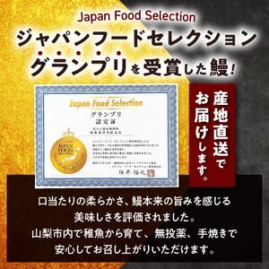 山梨県産富士山脈の地下水 炭火焼きうなぎの蒲焼(2尾約260g以上)【配送不可地域：離島】【1668234】