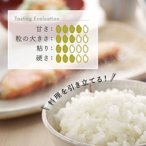 令和5年産 【6カ月連続お届け】新潟県産 こしいぶき 8㎏ (2kg×4袋) (精米)