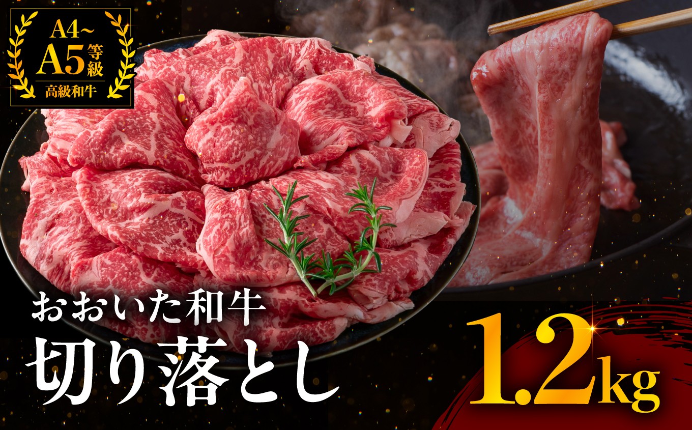 
            おおいた和牛 切り落とし 1.2kg | お肉 肉 おにく にく 牛 牛肉 和牛 国産牛 豊後牛 ブランド牛 切り落とし肉 焼肉 焼き肉 すき焼き 牛丼 炒め物 冷凍 国産 大分県産 九州産 大分県 中津市
          