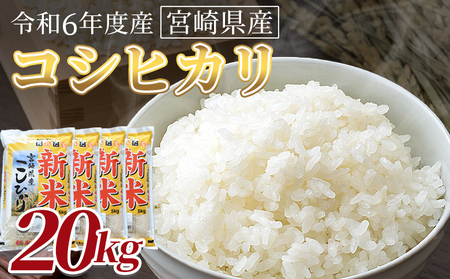 ＜令和7年度産新米　宮崎県産コシヒカリ　20kg＞14営業日以内に順次出荷【 国産 米 お米 最速便 白米 精米 こしひかり ごはん ご飯 白飯 食品 】【b0846_su】