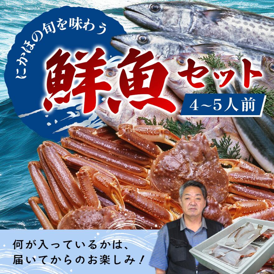 【ふるさと納税】鮮魚 開けたらすぐ食べられる下処理済み 海産物 4～5人前 セット 日本海の鮮魚 魚 パック 詰め合わせ 海鮮セット 鮮魚ボックス 海鮮 海の幸 魚介 魚介類 刺身 切り身 ひらめ 鯛 甘エビ 鯵 あんこう 鮭 カレイ ハタハタ 鱈 ズワイガニ 食べ比べ 冷蔵