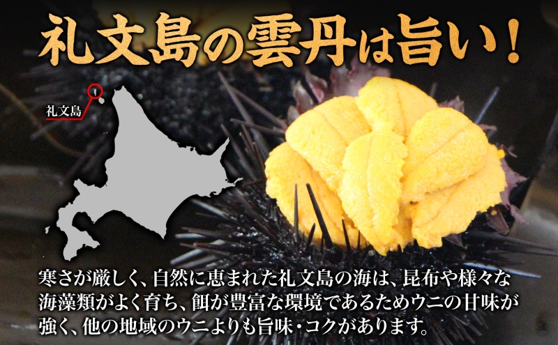 北海道 礼文島産  塩水ウニ （ キタムラサキウニ ）100g×7  生うに うに 雲丹