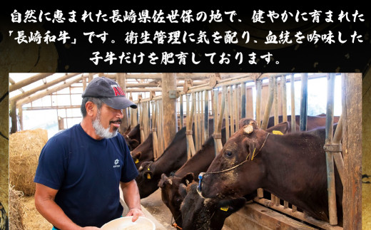 [B110］ 長崎和牛 国産 牛 カルビ 500g 黒毛和牛 A3等級 以上 焼肉 ディナー バーベキュー BBQ ビーフ 和牛 肉 肉の山頭 長崎県 佐世保市