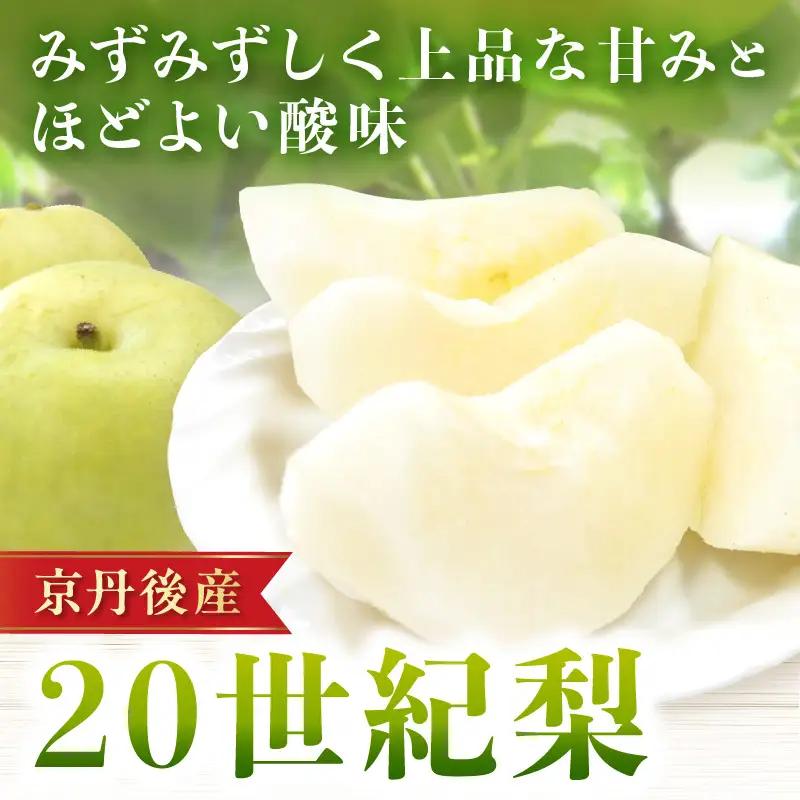 【先行予約／数量限定150】20世紀梨 5kg（2026年9月上旬～発送）梨