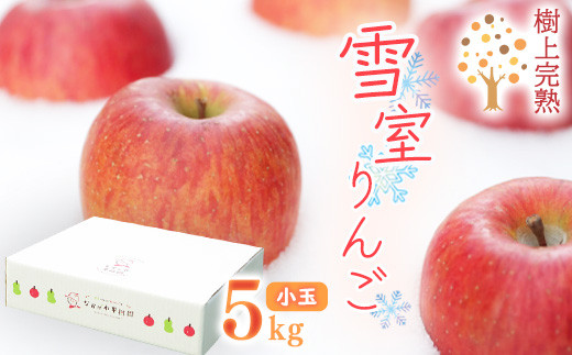 
            雪室りんご 5kg「樹上完熟 ふじりんご」 小玉サイズ 山形産 【2026年1月中旬頃～3月頃 発送予定】 2025年産 令和7年産 山形県　020-B-NG002
          