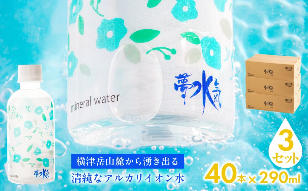 
            ミネラルウォーター夢水氣（290ml×40本）3セット 天然アルカリイオン水 軟水 【ふるさと納税 人気 おすすめ ランキング 天然アルカリイオン水 天然水 ミネラルウォーター 横津岳山麓 北海道 七飯町 送料無料】 NAL005
          
