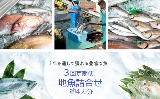 【C09002】【3回定期便】魚屋さんの選んだ新鮮お魚詰め合わせ（約4人分）_イメージ1