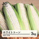 【ふるさと納税】 《先行予約》2025年 山形県産 ホワイトコーン 3kg(8-12本）生で味わう 白とうもろこし トウモロコシ コーン 夏 野菜 やさい ※沖縄・離島への配送不可 F21A-244