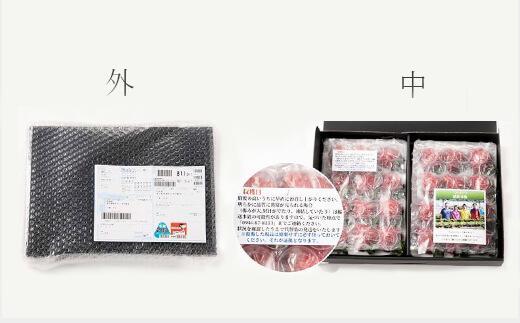 【2026年1月～4月出荷分予約販売】まるで宝石！希少な大粒サイズを2倍の量で！「完熟あまおう」4Lサイズ900g入り