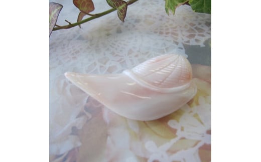 珊瑚職人館の珊瑚ブローチ46