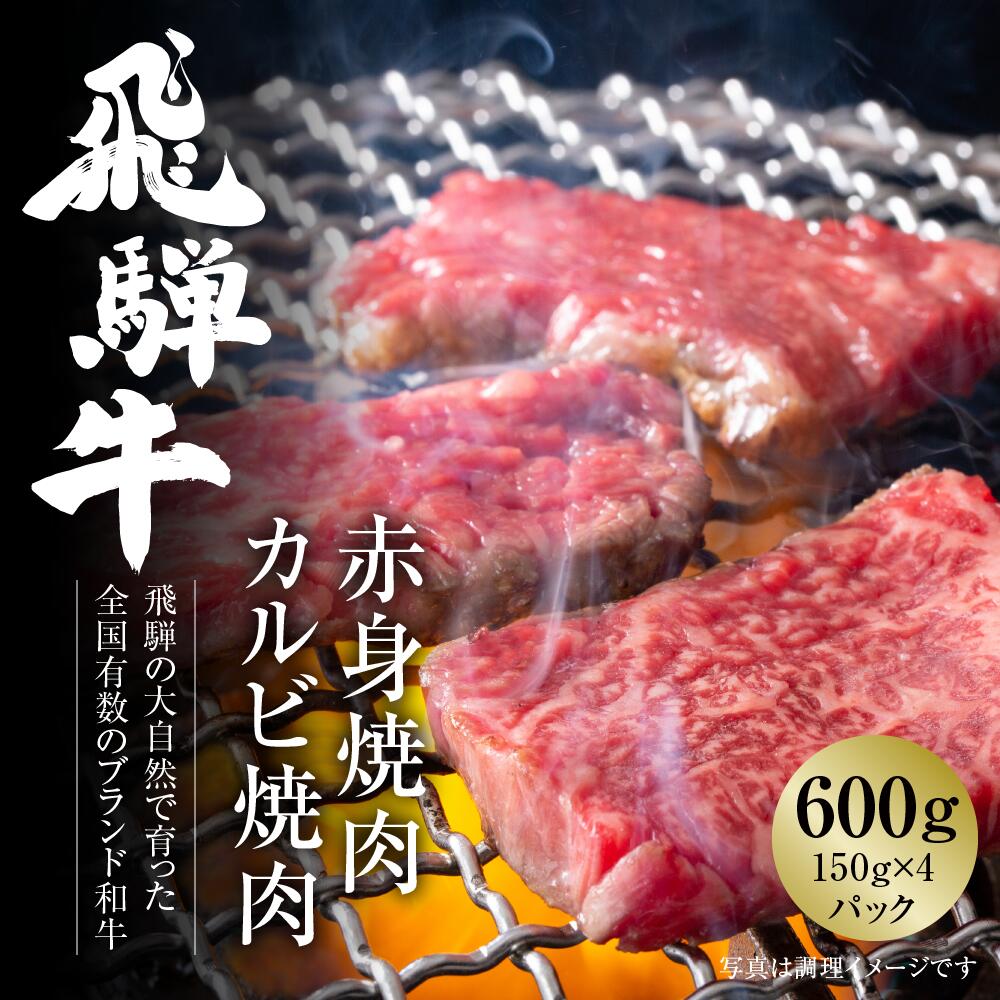 【ふるさと納税】飛騨牛 焼肉 厳選2種盛（赤身・カルビ） 600g（150g×各2パック） 冷凍真空パック | 肉 お肉 焼肉 焼き肉 やきにく 黒毛和牛 和牛 個包装 小分け 人気 おすすめ 牛肉 ギフト お取り寄せ [S837]