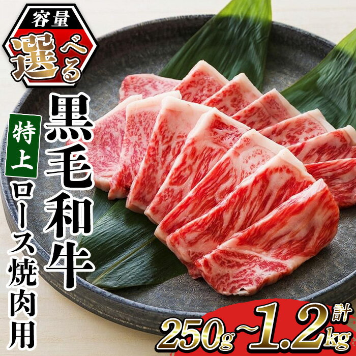 【ふるさと納税】＜容量選べる！＞鹿児島県産黒毛和牛 特上ロース焼肉 (計250g～1.2kg) 牛肉 肉 黒毛和牛 国産 国産牛 九州 鹿児島 鹿児島県産 ロース ロース肉 焼肉 焼き肉 冷凍 ギフト【バクロ】