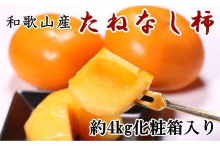 【秋の味覚】和歌山産のたねなし柿2L～4Lサイズ約4kg（化粧箱入り）※2025年10月上旬～2025年11月上旬頃順次発送【tec409A】