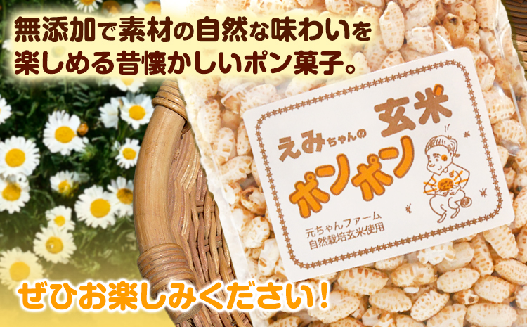 玄米ポンポン元ちゃんファーム《90日以内に出荷予定(土日祝除く)》玄米菓子---wsk_gncgmpp_90d_22_14000_300g---