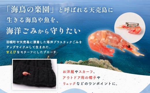 羽幌の海から生まれた「甘えびのブローチ」