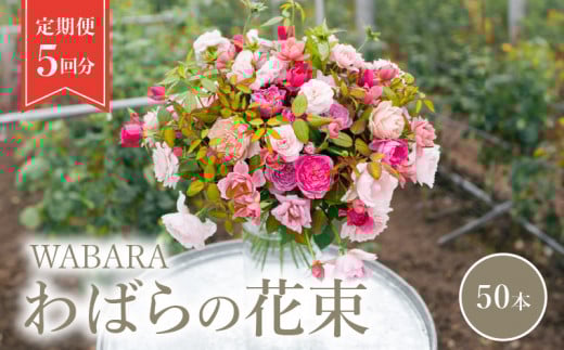 わばら花束50本定期便　５回分　 WABARA  摘みたて ブーケ 花束 Rose Universe