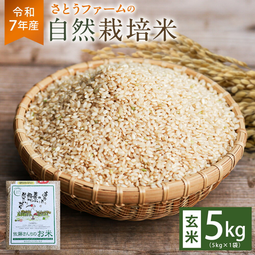 【ふるさと納税】【令和7年産】さとうファームの自然栽培米（玄米5kg） 米 こめ コメ お米 おこめ 玄米 自然栽培米 ミルキークイーン 単一原料米 精米 大分県 九重町 送料無料