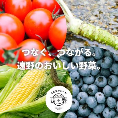 ふるさと納税 遠野市 【発送月固定定期便】奇数月発送 旬のとれたて野菜セット(5~7品)ライトサイズ全6回 |  | 01
