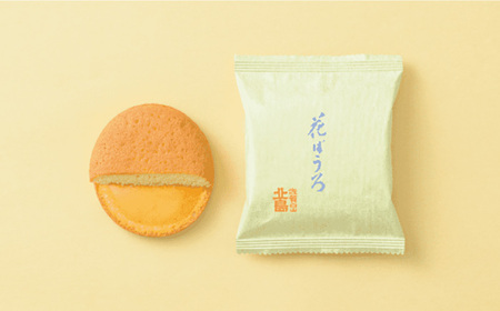 花ぼうろ あんずジャム入り 10個 / お菓子 和菓子 スイーツ まるぼうろ / 佐賀県 / 北島 [41AABN005]
